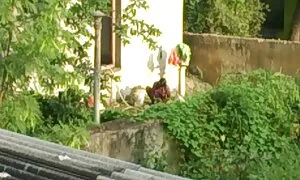 সুন্দরি সেক্সি মহিলার বাংলা চুদাচুদি ভিডিও ছবি হার্ডকোর মাই এর