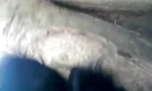 বড়ো বুকের মেয়ের বাংলা চুদাচুদি দেখতে চাই