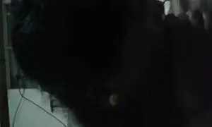 কামে বাংলা চুদা চুদি ভিডিও দিশাহারা মহিলার পুরুষ সমকামী বালক পুরুষ মানুষ