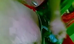হার্ডকোর চুদাচুদির ভিডিও দেখাও জোড়া বাঁড়ার চোদন
