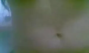 মাই এর, মাই বাংলাচুদাচুদি চাই এর কাজের, পভ