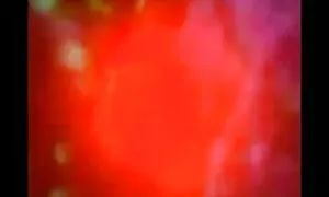 স্বামী ও বাঙালি মেয়েদের চুদাচুদি স্ত্রী,