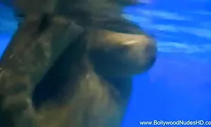 নকল মানুষের, হিন্দি চুদাচুদির ভিডিও হেনটাই,