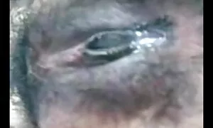 স্বামী বাংলাচুদাচুদি সেক্সি ও স্ত্রী