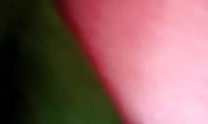 মুখগত, বাঁড়ার রস খাবার, বাংলাচুদাচুদি দেখান ব্লজব