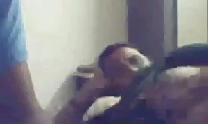 গরম 3 পথ উপর ঐ সোফা বাংলা বৌদি চুদাচুদি