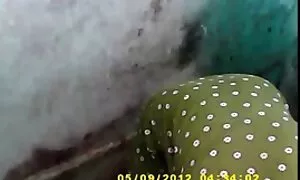 যোনি, স্বামী ও বাংলা কথা চুদা চুদি স্ত্রী