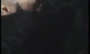 বড়ো বুকের বাংলাচুদাচুদি সেক্স মেয়ের