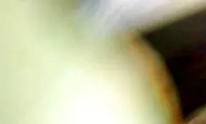 স্বামী ও স্ত্রী, এক্স এক্স ভিডিও চুদাচুদি